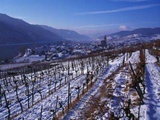 Hotel Wachau Emmersdorf an der Donau